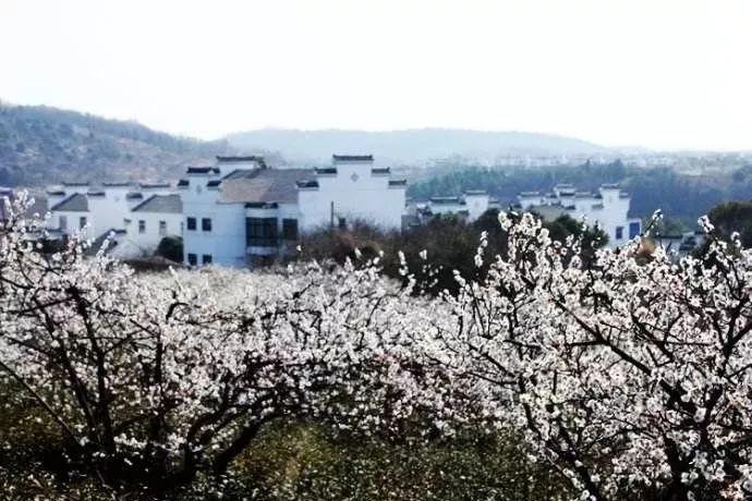 【趣游安溪】虎邱“文旅大餐”！春节元宵特色活动抢先看